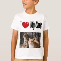 I Love My Cats Photo