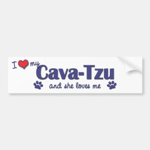 I Love My Cava-Tzu (Female Dog) Bumper Sticker