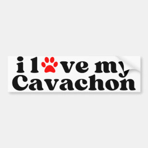i love my Cavachon Bumper Sticker