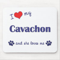 I Love My Cavachon (Female Dog)
