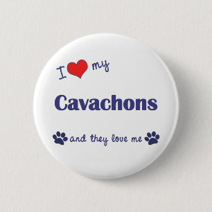 I Love My Cavachons (Multiple Dogs) 6 Cm Round Badge