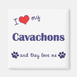 I Love My Cavachons (Multiple Dogs) Magnet
