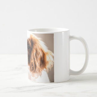 I love my cavalier king MUG