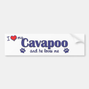 I Love My Cavapoo (Male Dog) Bumper Sticker