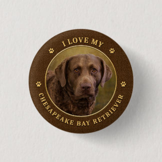 I Love My Chesapeake Bay Retriever Button