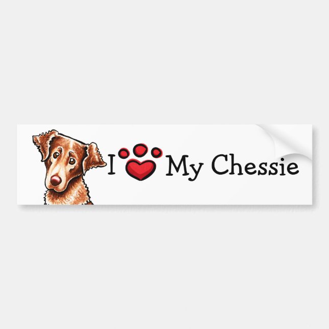 I Love My Chessie Chesapeake Bay Retriever Bumper Sticker (Front)