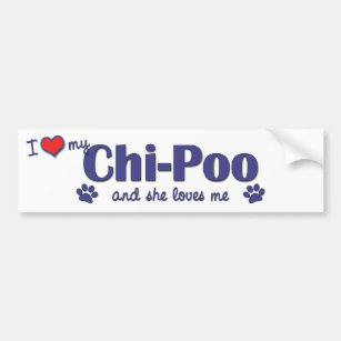 I Love My Chi-Poo (Female Dog) Bumper Sticker