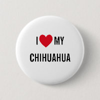 I Love My Chihuahua