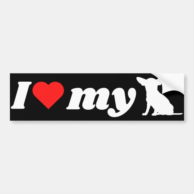 I love My Chihuahua  Bumper Sticker (Front)