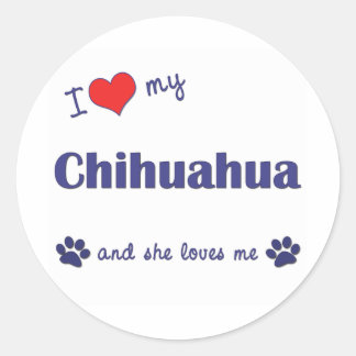 I Love My Chihuahua (Female Dog) Classic Round Sticker