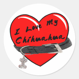 I Love My Chihuahua Heart with Dog Collar Classic Round Sticker
