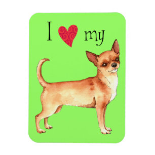 I Love my Chihuahua Magnet