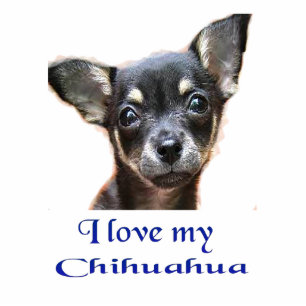 I love my Chihuahua Photo Sculpture Key Ring