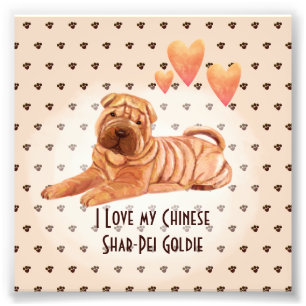 I Love My Chinese Shar-Pei Name Custom Cartoon Dog Photo Print