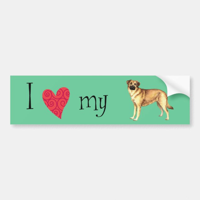 I Love my Chinook Bumper Sticker (Front)
