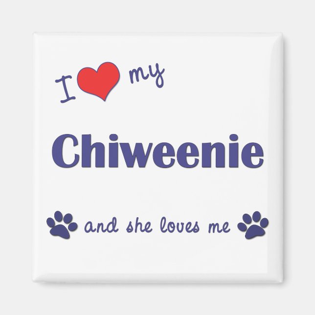 I Love My Chiweenie (Female Dog) Magnet (Front)