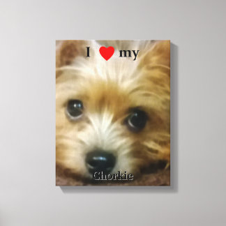 I love my Chorkie Canvas Print