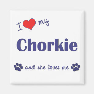 I Love My Chorkie (Female Dog) Magnet