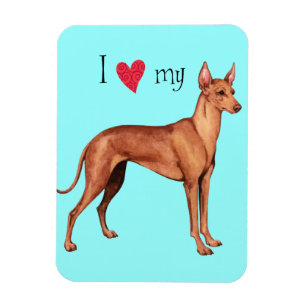 I Love my Cirneco dell'Etna Magnet
