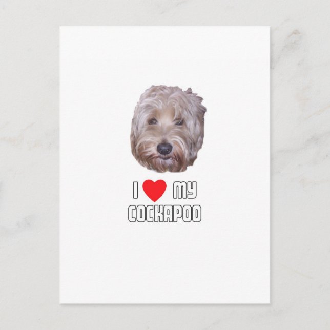 I Love my Cockapoo Postcard (Front)