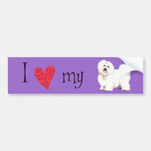 I Love my Coton de Tulear Bumper Sticker