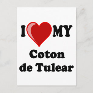 I Love My Coton De Tulear Dog Postcard