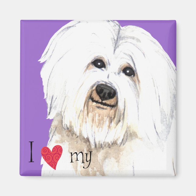I Love my Coton de Tulear Magnet (Front)