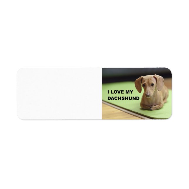 I Love My Cream Dachshund with picture (Front)