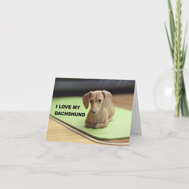 I Love My Cream Dachshund with picture Card (Front)