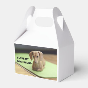 I Love My Cream Dachshund with picture Favour Box