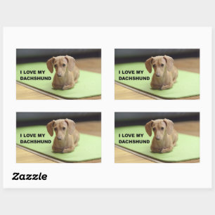 I Love My Cream Dachshund with picture Rectangular Sticker