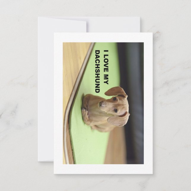I Love My Cream Dachshund with picture Thank You Card (Front)