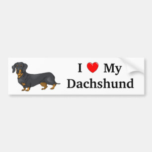 I Love My Dachshund Bumper Sticker