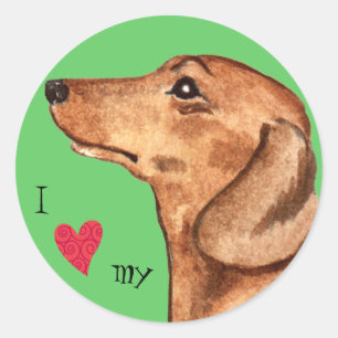 I Love my Dachshund Classic Round Sticker