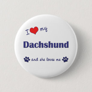I Love My Dachshund (Female Dog) 6 Cm Round Badge