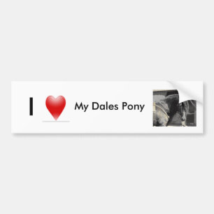 I love my Dales Pony Bumper Sticker