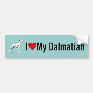 I Love My Dalmatian Dog Bumper Sticker