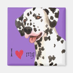 I Love my Dalmatian Magnet
