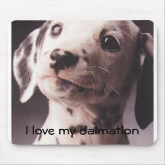 I love my dalmation mouse mat