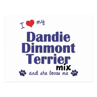 Dandie Dinmont Terrier Gifts - T-Shirts, Art, Posters ...
