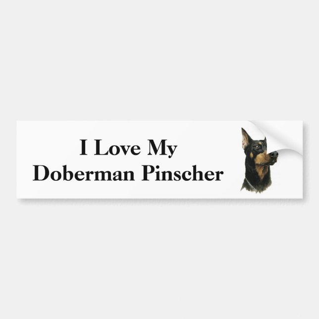 I Love my Doberman Pinscher Bumper Sticker (Front)