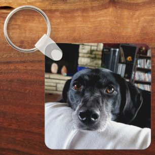 I Love My Dog   Photo Key Ring