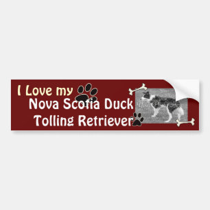 I love my Duck Tolling Retriever Bumper Sticker
