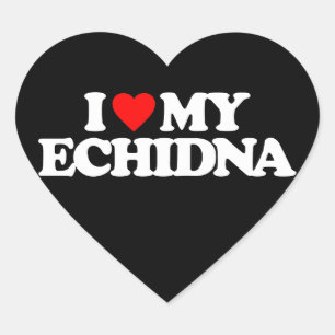 I LOVE MY ECHIDNA HEART STICKER