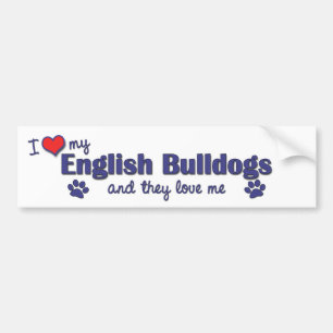 I Love My English Bulldogs (Multiple Dogs) Bumper Sticker