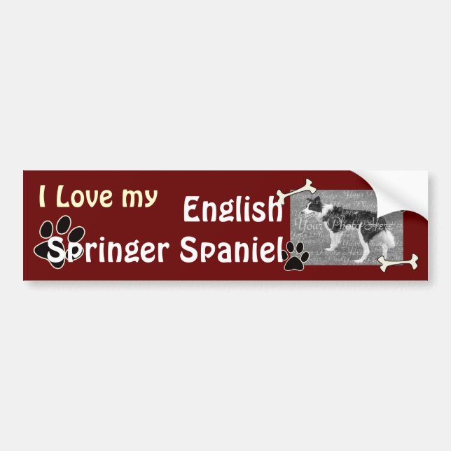 I love my English Springer Spaniel Bumper Sticker (Front)