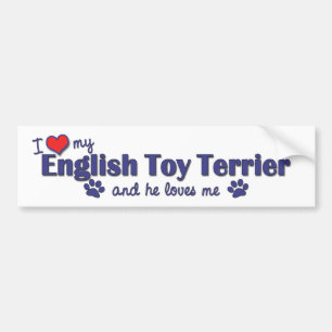 I Love My English Toy Terrier (Male Dog) Bumper Sticker
