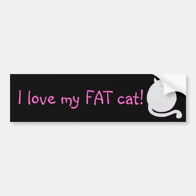 I love my fat cat! bumper sticker (Front)