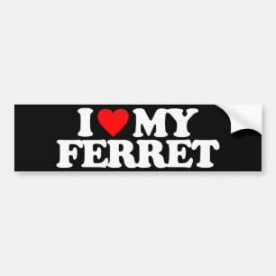 I LOVE MY FERRET BUMPER STICKER