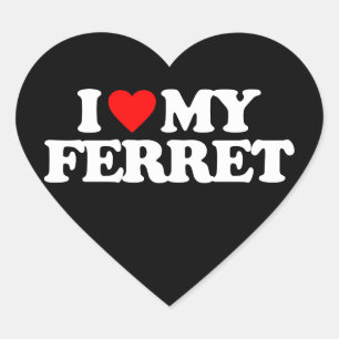 I LOVE MY FERRET HEART STICKER